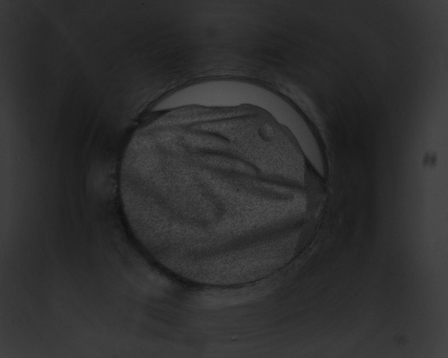 X0000091860017200710031050