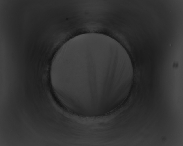 X0000091860018200710031050