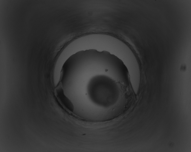 X0000091860019200710031050