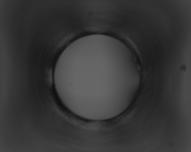 X0000091860020200710031050