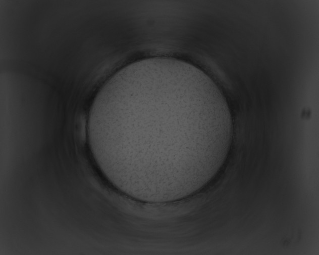 X0000091860022200710031050