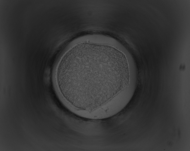 X0000091860024200710031050