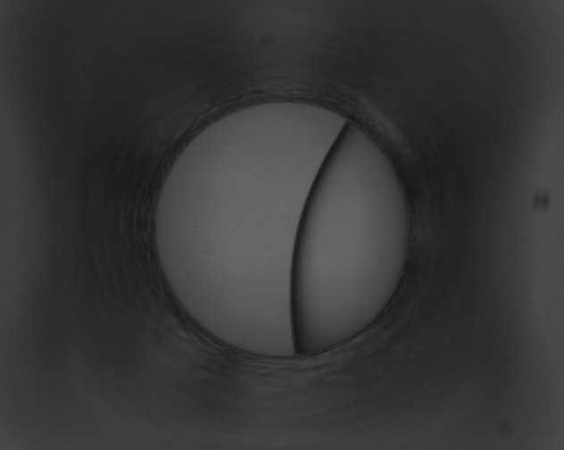 X0000091860025200710031050