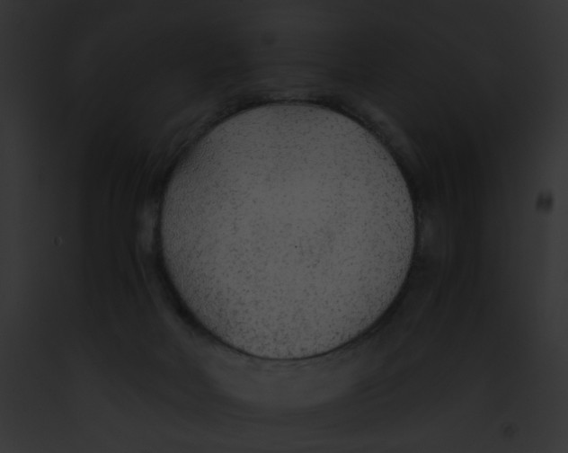 X0000091860026200710031050