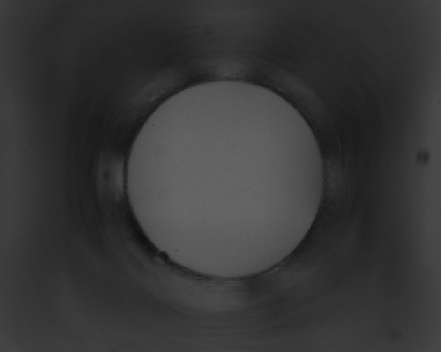 X0000091860028200710031050