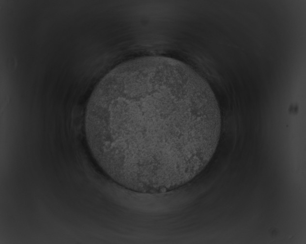 X0000091860030200710031050