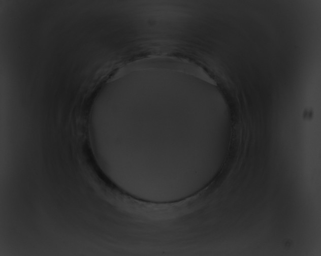 X0000091860031200710031050