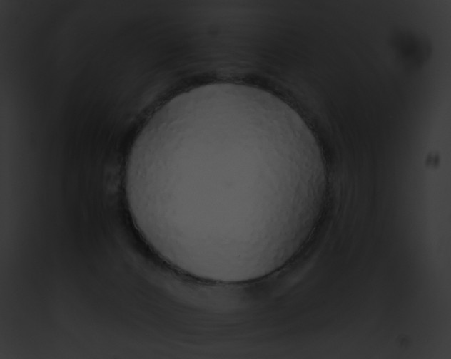 X0000091860032200710031049