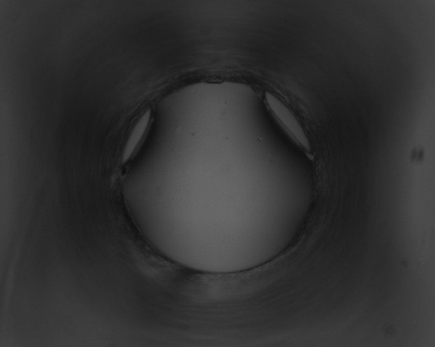 X0000091860033200710031049