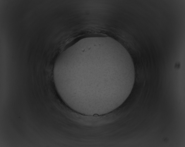 X0000091860034200710031049