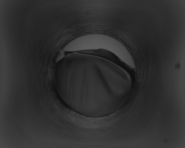 X0000091860035200710031049