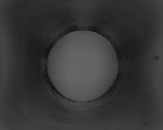 X0000091860038200710031049