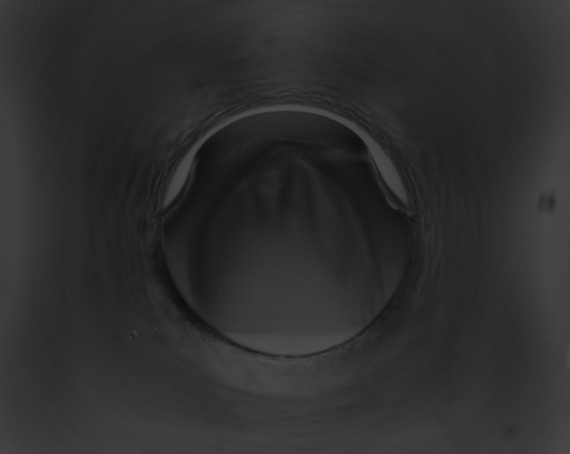 X0000091860039200710031049