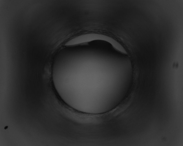 X0000091860040200710031049