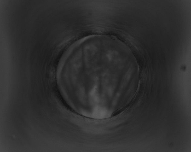 X0000091860043200710031049