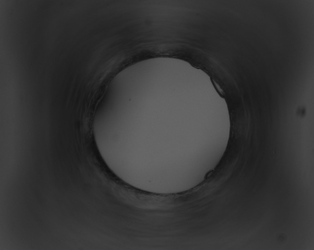 X0000091860044200710031049