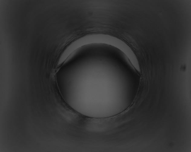 X0000091860045200710031049