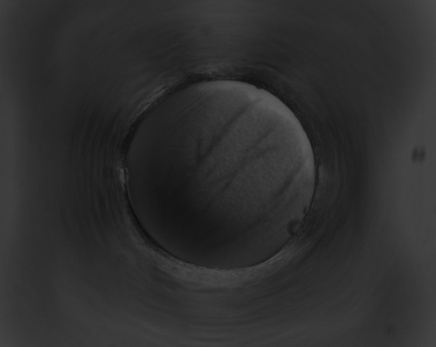 X0000091860048200710031049