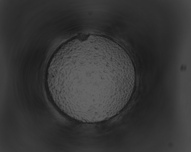 X0000091860049200710031049