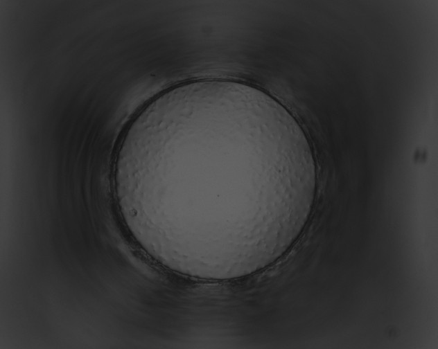 X0000091860050200710031049