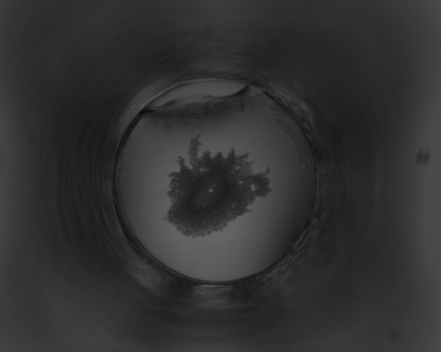 X0000091860051200710031049