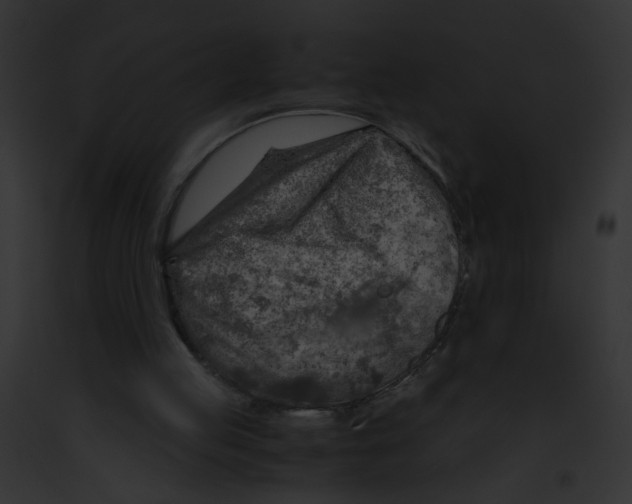 X0000091860053200710031049