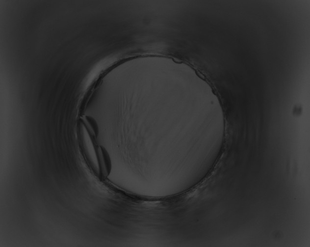 X0000091860054200710031049