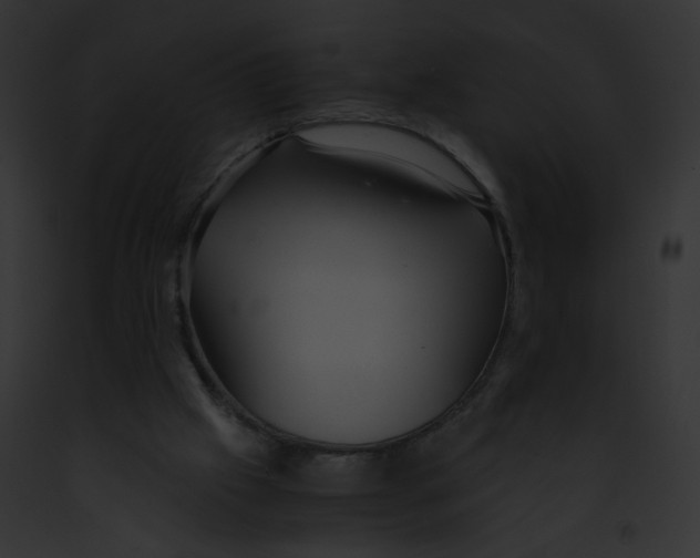 X0000091860057200710031049