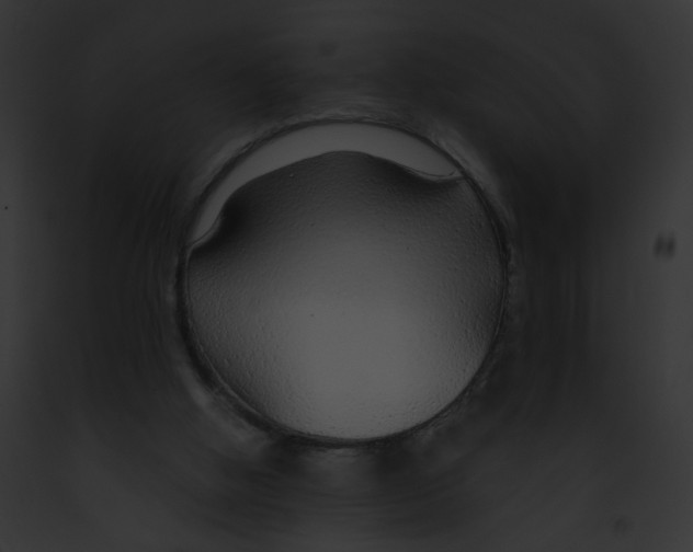 X0000091860058200710031049