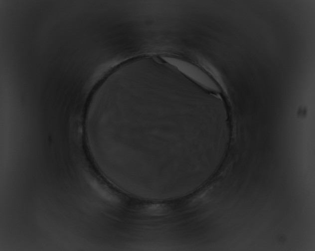 X0000091860059200710031049