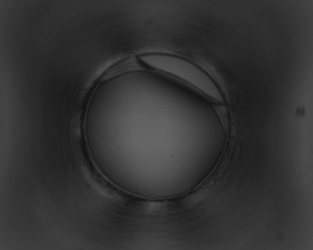 X0000091860060200710031049