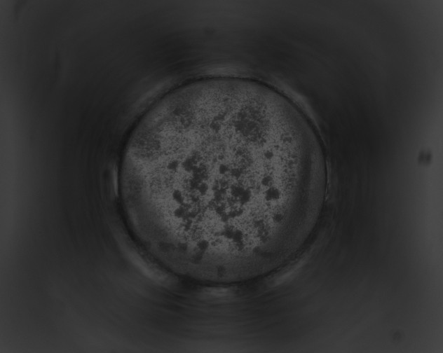 X0000091860061200710031049