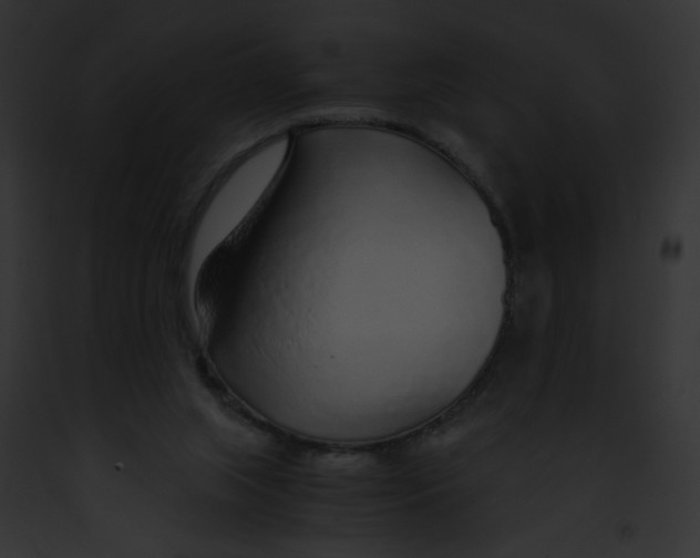 X0000091860063200710031049