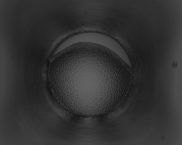 X0000091860064200710031049