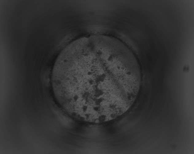 X0000091860065200710031049