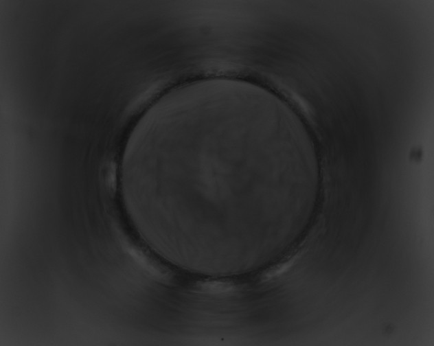 X0000091860067200710031049