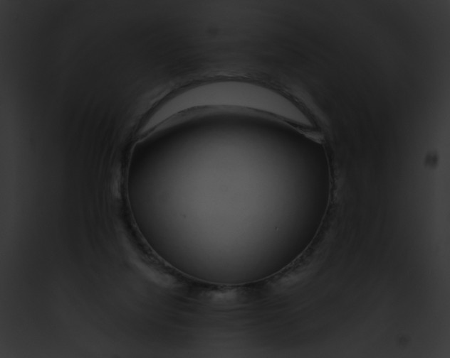 X0000091860068200710031049