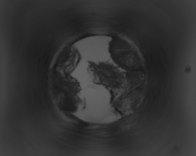 X0000091860069200710031049