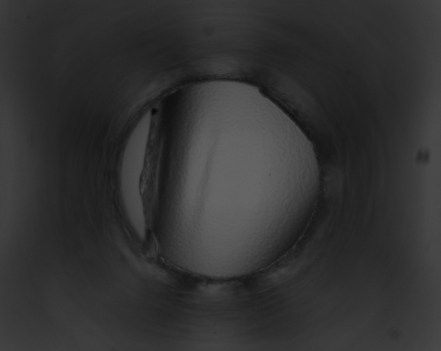 X0000091860072200710031049