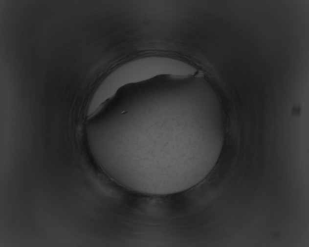 X0000091860074200710031049