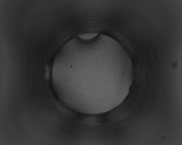 X0000091860075200710031049