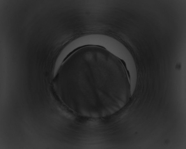 X0000091860076200710031049