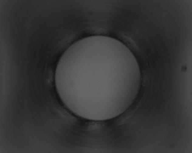 X0000091860077200710031049