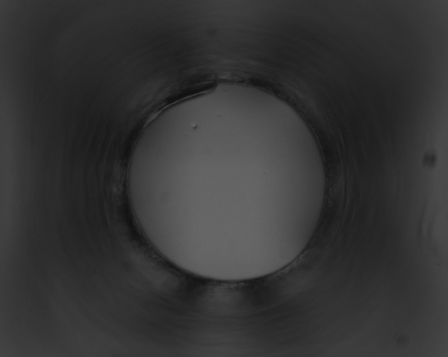 X0000091860078200710031049