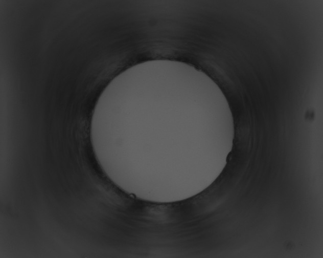 X0000091860079200710031049