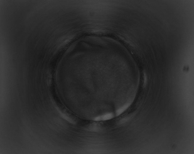 X0000091860080200710031049