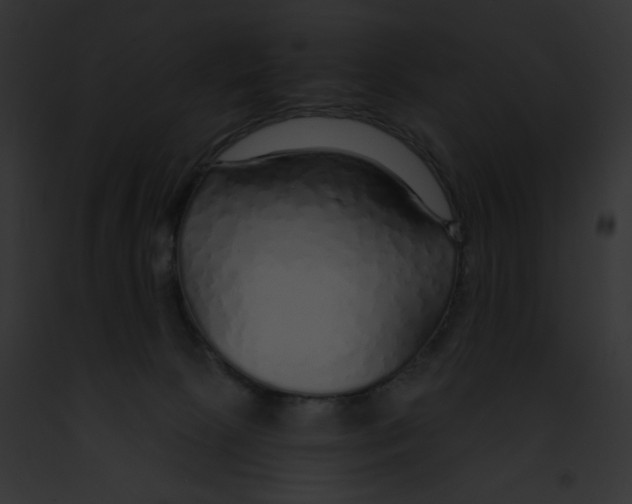 X0000091860081200710031049