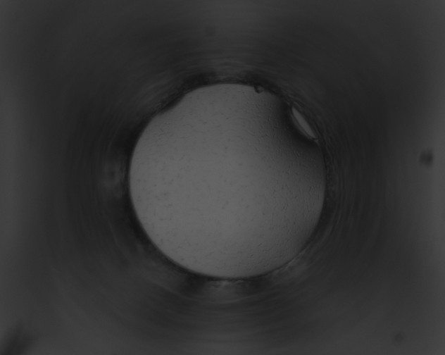 X0000091860082200710031049