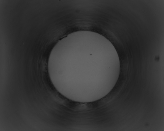 X0000091860083200710031049