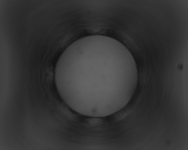 X0000091860085200710031049